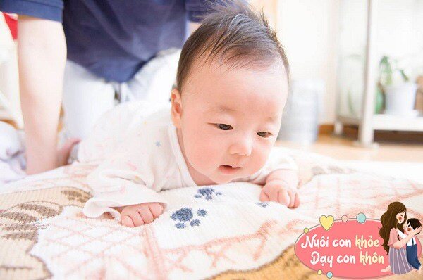 Dinh dưỡng trong thai kỳ ảnh hưởng rất lớn đến sự ph&aacute;t triển tr&iacute; n&atilde;o của trẻ về sau.