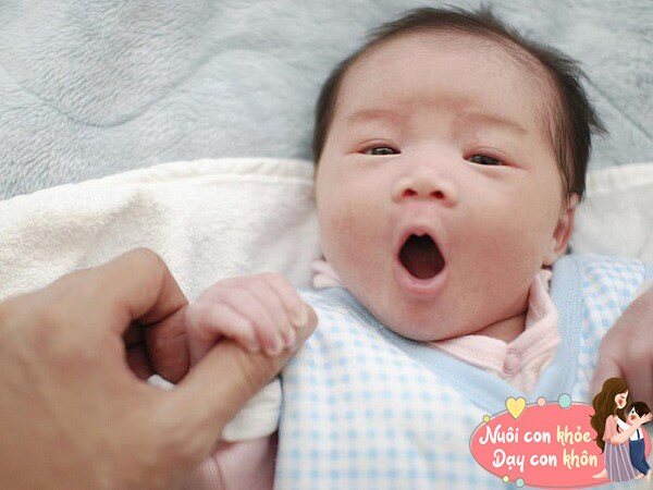 Nghiên cứu chứng minh, trẻ được trò chuyện với cha mẹ thường xuyên sẽ thông minh hơn.