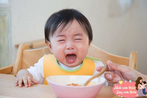 Nếu trẻ liên tục từ chối ăn trong một thời gian dài, có thể đó là dấu hiệu cơ thể đang thiếu kẽm.