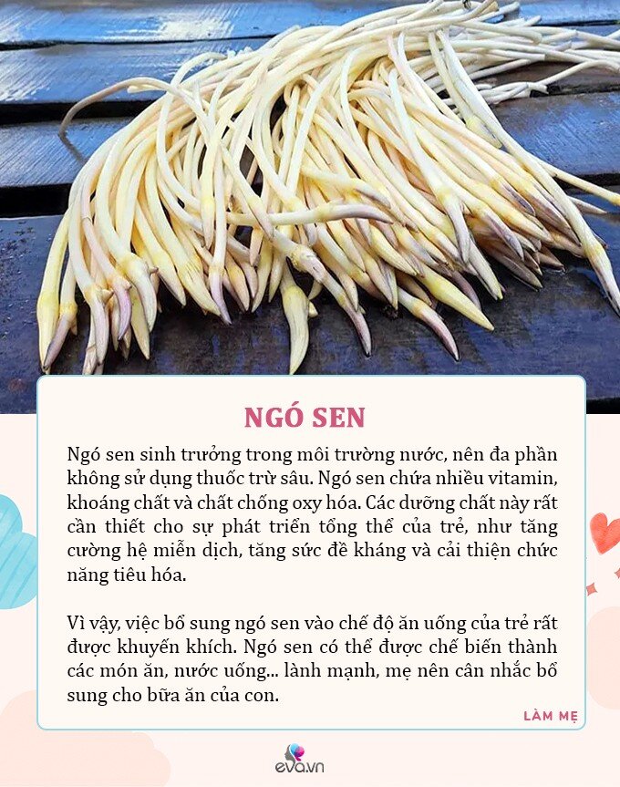 M&ugrave;a h&egrave;, 5 loại rau c&oacute; dư lượng thuốc trừ s&acirc;u bằng 0, d&ugrave; đắt đến đ&acirc;u mẹ cũng n&ecirc;n mua cho con ăn - 4