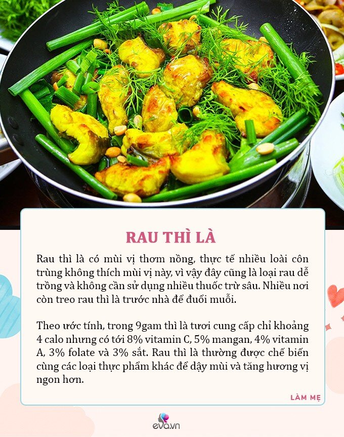 M&ugrave;a h&egrave;, 5 loại rau c&oacute; dư lượng thuốc trừ s&acirc;u bằng 0, d&ugrave; đắt đến đ&acirc;u mẹ cũng n&ecirc;n mua cho con ăn - 5