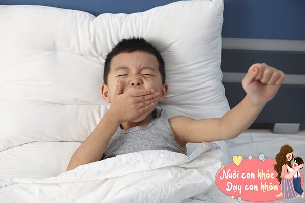 Để trẻ thức dậy với ánh sáng tự nhiên được coi là cách đánh thức tự nhiên nhất, vừa an toàn vừa hữu hiệu lại không cần bạn phải cố sức.