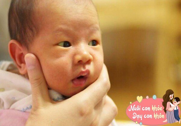 Cha mẹ có thể dự đoán chỉ số IQ của con thông qua các đặc điểm trên khuôn mặt như: vầng trán cao, đôi mắt to tròn...