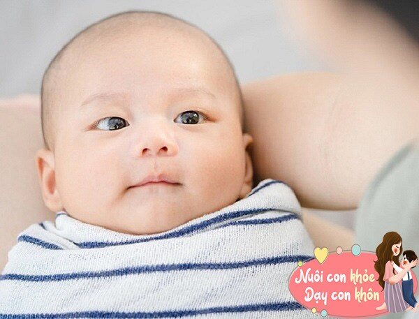 Khi trẻ sở hữu đôi mắt to tròn, linh hoạt, cho thấy trẻ hoạt bát, trông rất thông minh. Những đứa trẻ có tư duy tốt thì chỉ số thông minh sẽ cao hơn, đầu óc sẽ hoạt động nhanh hơn, khả năng quan sát sẽ mạnh mẽ.