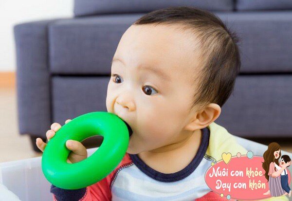 Ngoài việc xem xét sự phát triển trí não, cha mẹ cũng cần quan sát sự phối hợp thể chất của trẻ, nếu tay chân của bé linh hoạt và cân đối thì chỉ số IQ của bé cũng sẽ cao hơn.