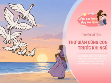 Truyện cổ tích: Đàn chim thiên nga