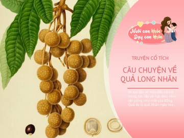 Truyện cổ tích: Sự tích quả long nhãn