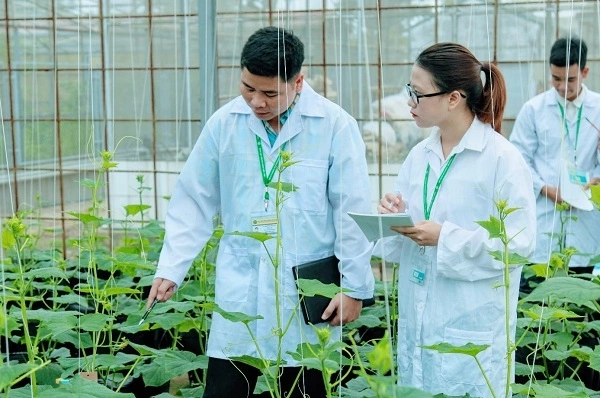 5 ngành học amp;#34;quyền lựcamp;#34; thời AI bùng nổ, 10 năm tới không lo thất nghiệp, mức lương nằm ở nhóm rất cao - 3