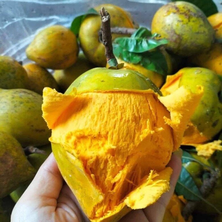 Loại quả mọc bờ rào xưa rụng đầy gốc, nay thành đặc sản ở thành phố giá 55.000 đ/kg, trồng một lần thu hoạch nhiều năm - 2
