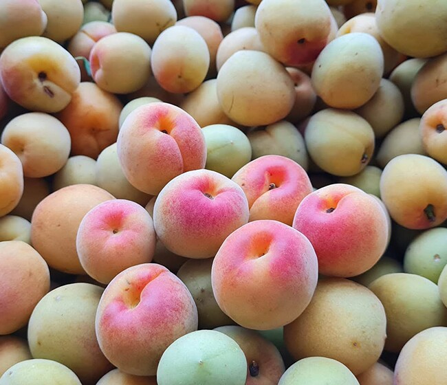Loại quả xưa chín rụng đầy gốc, nay thành đặc sản ở thành phố giá 70.000 đ/kg, trồng một lần thu hoạch nhiều năm - 2
