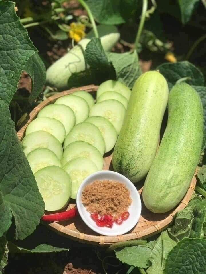 Loại quả mọc bờ rào xưa không ai ngó ngàng, nay thành đặc sản được ưa chuộng giá 50.000 đ/kg, trồng 3 tháng cho thu hoạch - 5