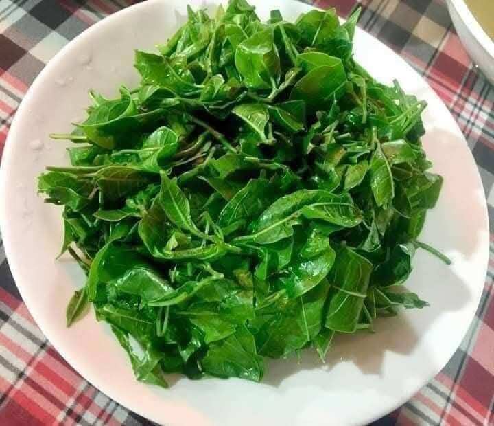 Cây dại mọc bờ rào nay thành đặc sản người thành phố ưa chuộng, trồng một lần thu hoạch nhiều năm, 70.000 đồng/kg - 2