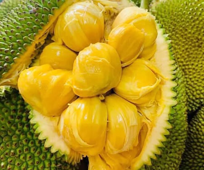 Loại quả xưa rụng đầy gốc, nay thành đặc sản được ưa chuộng ở thành phố giá 55.000 đ/kg, trồng một lần thu hoạch nhiều năm - 1