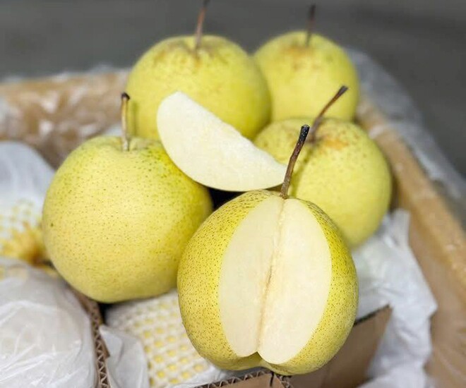 Loại quả xưa chín rụng không ai biết đến, nay thành đặc sản mùa hè giá 70.000 đ/kg, trồng một lần thu hoạch nhiều năm - 1
