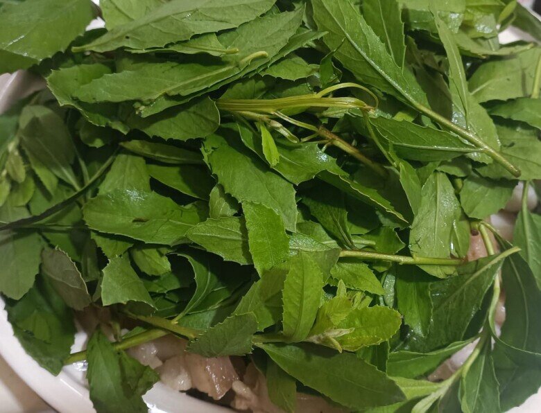 Cây mọc bờ rào có vị đắng nay thành đặc sản lạ ở thành phố, trồng một lần hái bán quanh năm, tốt cho sức khỏe - 2