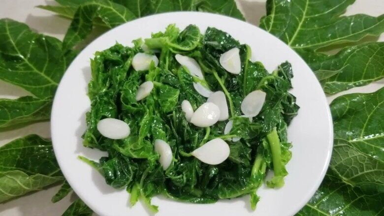 Cây mọc bờ rào có vị đắng ngắt, xưa rụng vứt đi nay thành đặc sản 300.000 đồng/kg, trồng 8 tháng cho thu hoạch - 3