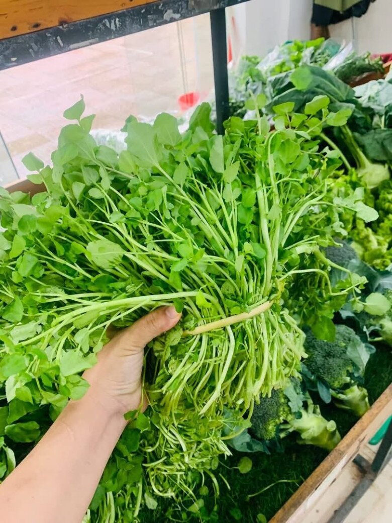 Cây rau được đánh giá amp;#34;tốt nhất thế giớiamp;#34;, Việt Nam trồng bạt ngàn 45 ngày thu hoạch, thành đặc sản tốt cho sức khỏe - 3
