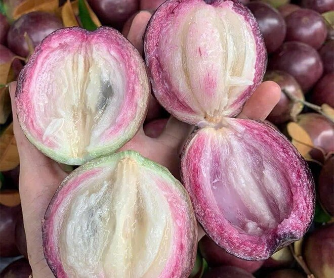 Loại quả xưa rụng đầy không ai ngó ngàng, nay thành đặc sản được ưa chuộng 60.000 đ/kg, trồng một lần thu hoạch nhiều năm - 1