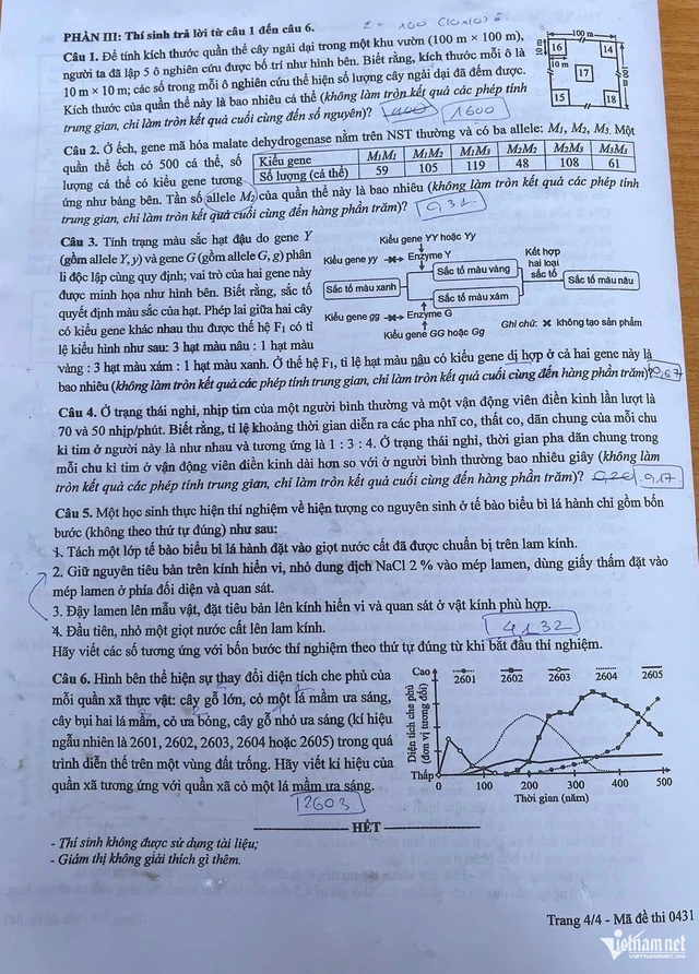 Đề
thi môn Sinh học tốt nghiệp THPT 2026 mã đề 0431.