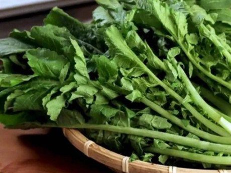 Loại rau "tốt nhất thế giới" được trồng bạt ngàn ở Việt Nam, thành đặc sản nổi tiếng chỉ từ 10.000 đ/kg, tốt cho sức khoẻ