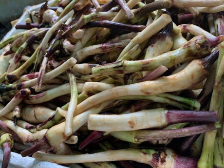 Món nhà nghèo xưa ăn đến chán ngán, nay thành đặc sản nổi tiếng ở thành phố giá 70.000 đ/kg, tốt cho sức khoẻ