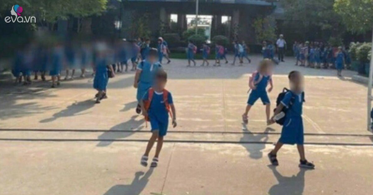 Học sinh Trường Tiểu học Lương Thế Vinh bị giáo viên phạt bằng kim tiêm: Đề xuất kiểm tra sức khỏe