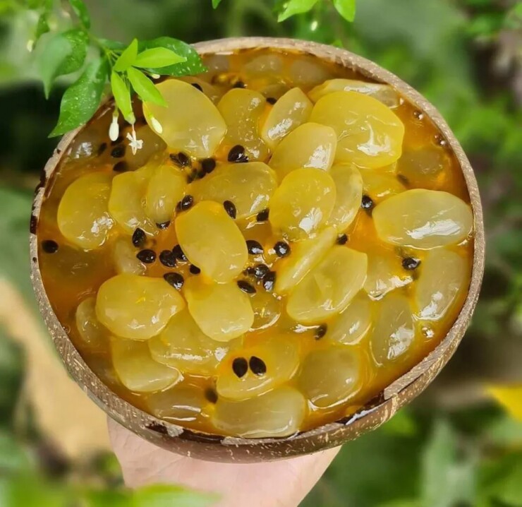 Loại quả xưa chín rụng đầy gốc, nay thành đặc sản ở thành phố giá 120.000 đồng/kg, trồng một lần thu hoạch nhiều năm - 4