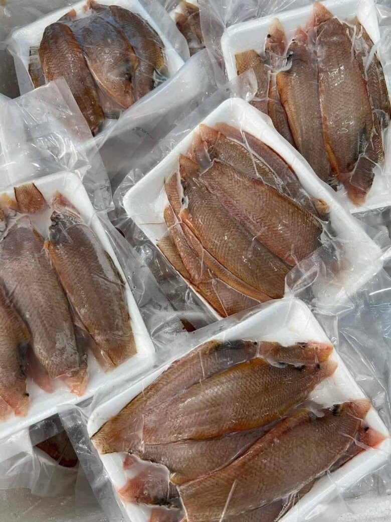 Loài cá quen thuộc ở quê amp;#34;tốt hơn cá hồiamp;#34;, xưa giá rẻ nay thành đặc sản 100.000 đ/kg, tốt cho sức khỏe - 3