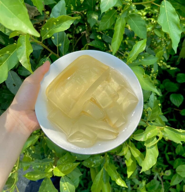 Loại quả mọc bờ rào xưa rụng đầy gốc, nay thành đặc sản có hương vị lạ giá 400.000 đ/kg, trồng một lần thu hoạch nhiều năm - 3