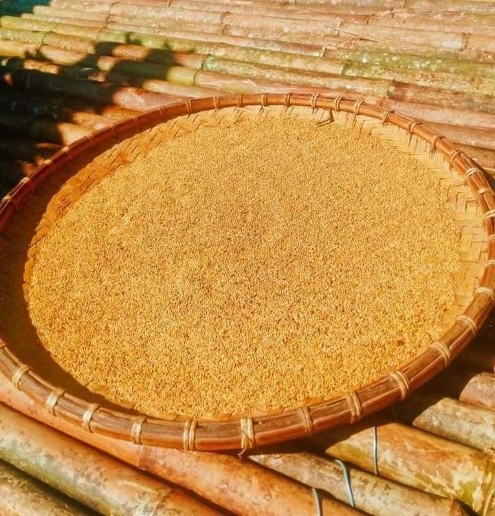 Loại quả mọc bờ rào xưa rụng đầy gốc, nay thành đặc sản có hương vị lạ giá 400.000 đ/kg, trồng một lần thu hoạch nhiều năm - 4