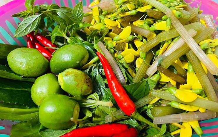 Loại quả mọc bờ rào xưa rụng đầy gốc, nay thành đặc sản hương vị lạ giá 50.000 đ/kg, trồng một lần thu hoạch nhiều năm - 2