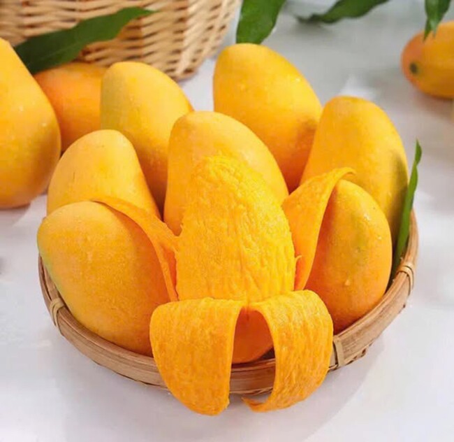 Loại quả amp;#34;tốt nhất thế giớiamp;#34; chỉ có ở An Giang, trồng một lần thu hoạch nhiều năm, thành đặc sản tốt cho sức khỏe - 2