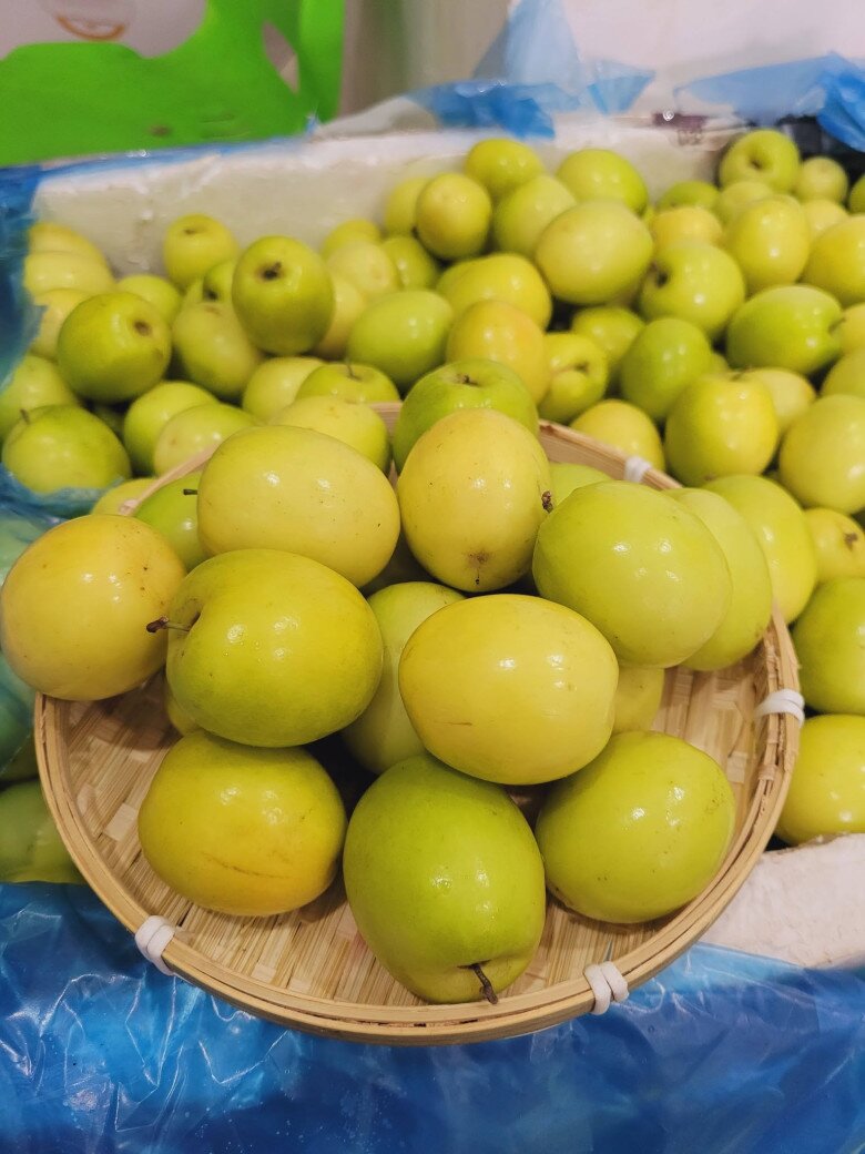 Loại quả amp;#34;tốt nhất thế giớiamp;#34; chỉ có ở Hải Phòng, trồng một lần thu hoạch nhiều năm, thành đặc sản nổi tiếng khắp nơi - 2
