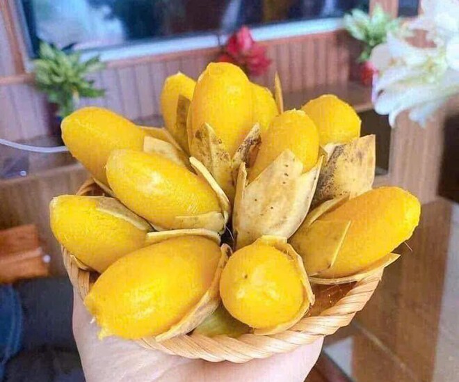 Loại quả amp;#34;tốt nhất thế giớiamp;#34; có ở Vĩnh Long, trồng 11 tháng cho thu hoạch, thành đặc sản tốt cho sức khoẻ - 1