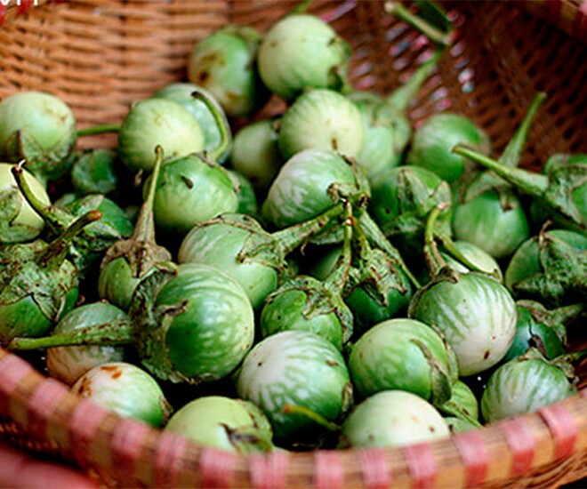 Loại quả đắng ngắt ít ai ăn nay thành đặc sản 120.000 đồng/kg, trồng một lần hái bán quanh năm - 1