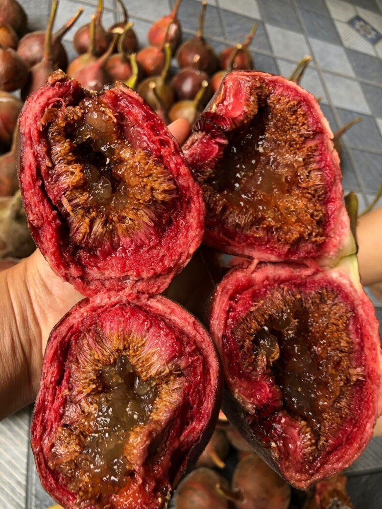 Loại quả xưa chín rụng đầy gốc, nay thành đặc sản có hương vị lạ giá 50.000 đ/kg, dân thành phố ưa chuộng - 2
