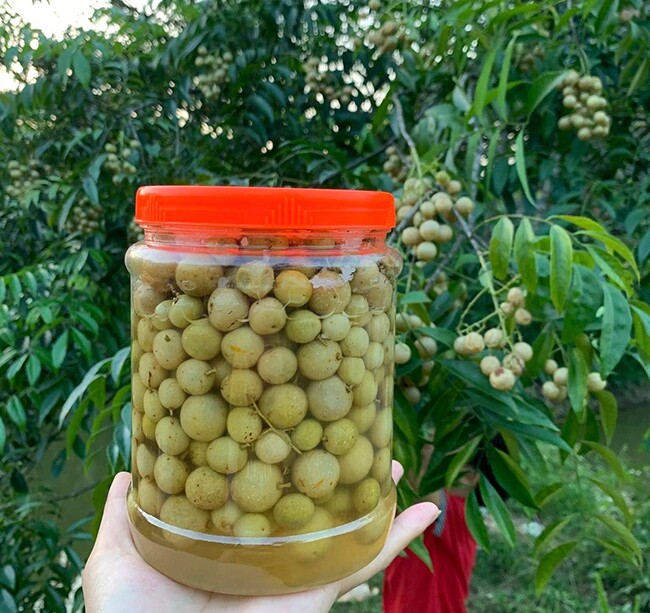 Loại quả xưa rụng đầy gốc nay thành đặc sản ở thành phố, trồng một lần thu hoạch nhiều năm, 200.000 đồng/kg - 2