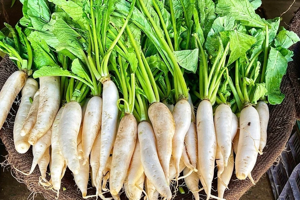 Loại rau amp;#34;tốt nhất thế giớiamp;#34; được trồng bạt ngàn ở Việt Nam, thành đặc sản nổi tiếng chỉ từ 10.000 đ/kg, tốt cho sức khoẻ - 3