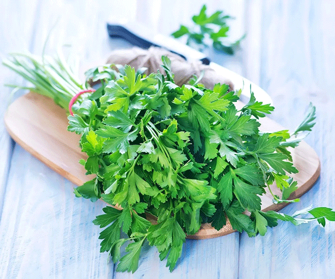 Loại rau amp;#34;tốt nhất thế giớiamp;#34;, Việt Nam trồng khắp nơi chỉ 1 tháng cho thu hoạch, thành đặc sản tốt cho sức khoẻ - 1