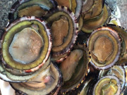 Tiêu dùng - Đặc sản nghe tên "ngượng đỏ mặt", xưa không ai ngó ngàng nay thành món khoái khẩu 350.000 đ/kg, thu hoạch bán quanh năm