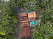 Lifestyle - Ngôi đình cổ trên "gò mu rùa" và dấu tích lạ hơn 2 thế kỷ ít người biết ở TPHCM