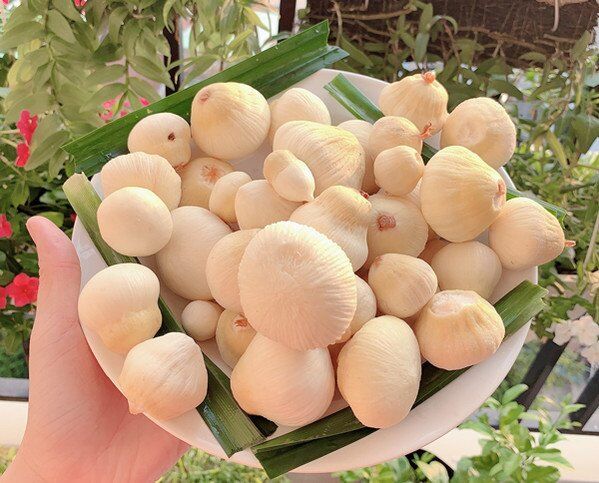 Món nhà nghèo xưa ăn đến chán ngán, nay thành đặc sản khoái khẩu giá 250.000 đ/kg, người thành phố ưa chuộng - 2