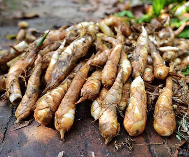 Món nhà nghèo xưa ăn đến chán ngán, nay thành đặc sản khoái khẩu ở thành phố giá 100.000 đ/kg, tốt cho sức khỏe - 1