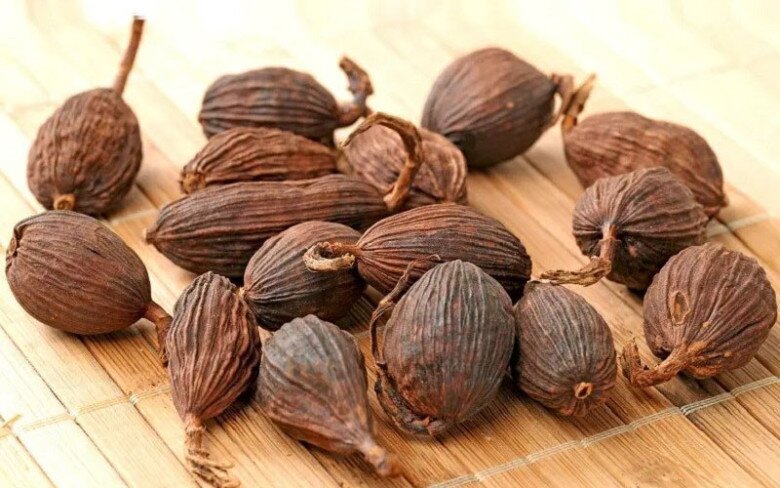 Loại quả xưa chín rụng đầy gốc, nay thành đặc sản ở thành phố giá 300.000 đ/kg, trồng một lần thu hoạch nhiều năm - 4