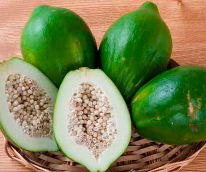 Thứ xưa amp;#34;nhà nghèoamp;#34; ăn đến chán ngán, nay thành món đặc sản lạ được người thành phố ưa chuộng, tốt cho sức khỏe - 1