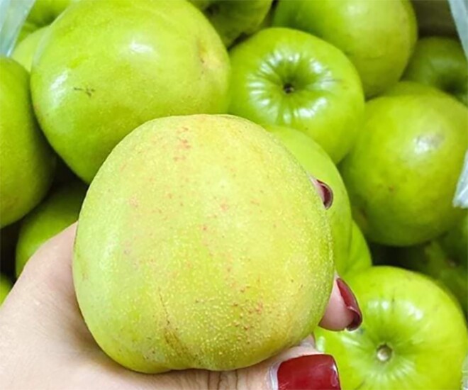 Loại quả mọc bờ rào xưa rụng đầy gốc, nay thành đặc sản được ưa chuộng giá 85.000 đ/kg, trồng một lần thu hoạch nhiều năm - 1