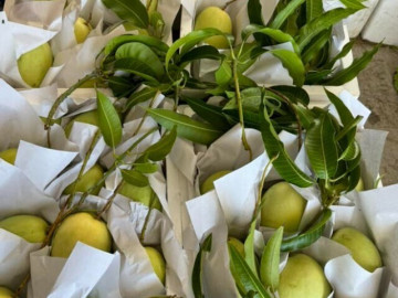 Sức khỏe - Loại quả "tốt nhất thế giới" chỉ có ở Tây Ninh, nghe tên đã thấy giàu, thành đặc sản tốt cho sức khoẻ