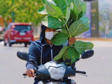 Tin tức - Nam Bộ hứng nắng nóng gay gắt trong tháng 4, có nơi chạm ngưỡng 39°C