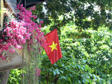 Cờ đỏ sao vàng phủ sắc phố phường: Nét đẹp bình dị lan tỏa trong đời sống đô thị