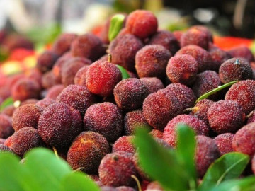6 loại trái cây mùa hè dễ chứa ký sinh trùng nhất